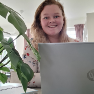 virtual assistant virtueel assistent va Arnhem Nijmegen TIel Overbetuwe Elst Zetten