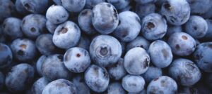 virtual-assistant-blauw