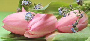Roze-tulpen-virtueel-assistent